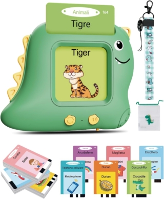 amazon-black-friday-2024-flashcards