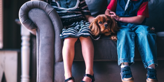 Come affrontare la morte di un animale domestico con i bambini