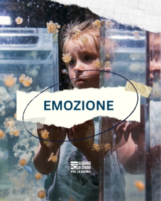 vacanze-invernali-bambini-genova