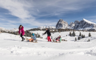 Neve cavallino bianco Neve cavallino bianco