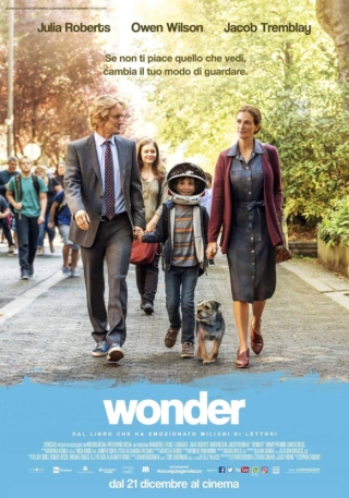 Wonder Wonder