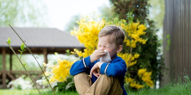 Calendario fioriture e allergie stagionali: i rimedi utili