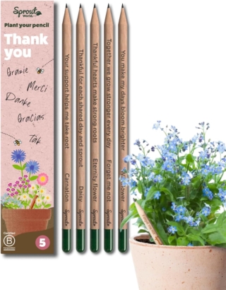 bomboniere-cresima-matite-piantabili