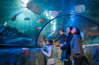 Gardaland SEA LIFE Aquarium