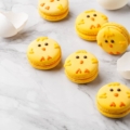 macaron pulcini