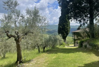 pasqua-2026-bambini-all-trails