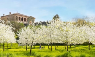 pasqua-2026-bambini-fai