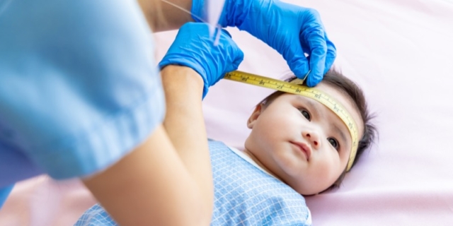 Curve di crescita e diagrammi percentili: tutto quello che c’è da sapere