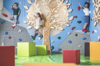giochi e arrampicate lino land