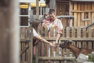 Fattoria con animali cavallino bianco Fattoria con animali cavallino bianco
