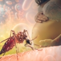 Chikungunya virus