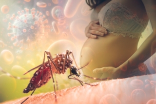 Chikungunya virus
