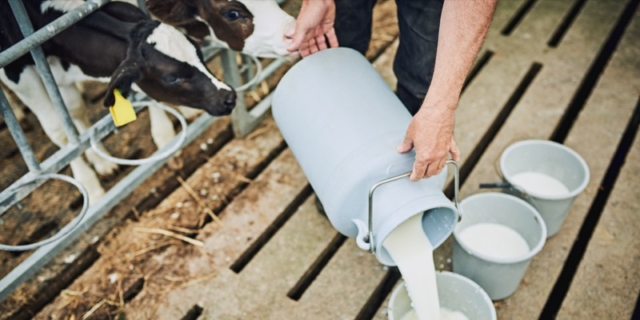 Latte crudo nei bambini: rischi e conseguenze mortali