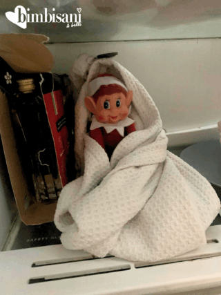 Elfo rimasto chiuso in frigo Elfo rimasto chiuso in frigo