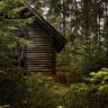 Casa nel bosco