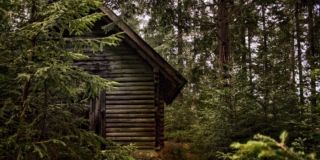 Bambini nel bosco: se la scelta di un’infanzia bucolica lede i diritti inviolabili dei bambini Bambini nel bosco: se la scelta di un’infanzia bucolica lede i diritti inviolabili dei bambini