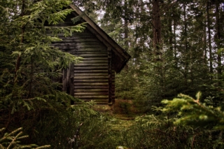 Casa nel bosco