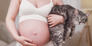 Immune alla toxoplasmosi: si deve comunque ripetere l’esame tutti i mesi?