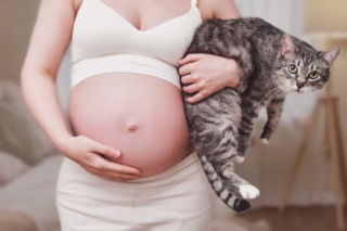 Immune alla toxoplasmosi: si deve comunque ripetere l’esame tutti i mesi?