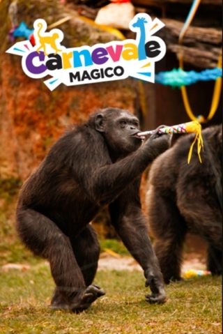 Carnevale Magico Parco Natura Viva