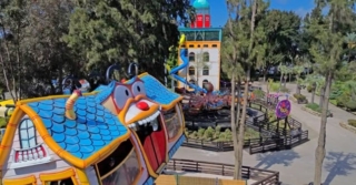 Carnevale Zoom Torino