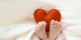 Bambino di Napoli operato al cuore: quanto è davvero difficile un trapianto di organi? Bambino di Napoli operato al cuore: quanto è davvero difficile un trapianto di organi?
