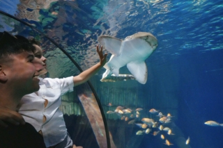 gardaland sea life acquarium