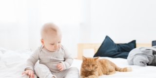 Bimba di quattro mesi con il raffreddore: colpa del gatto?