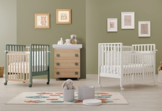 Culla evolutiva Evolution di Erbesi