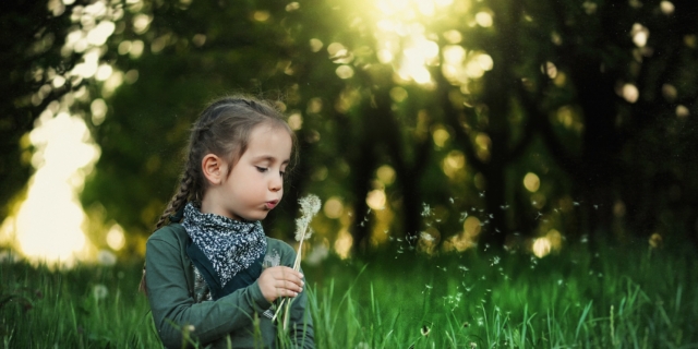 Allergie primaverili: i rimedi naturali più efficaci