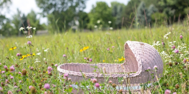 Culle vuote, il record di crollo nascite nel 2025