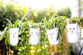 Vasi con bottiglie di plastica