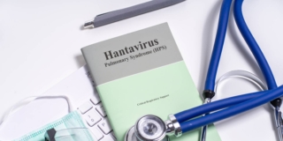 Hantavirus: sintomi, trasmissione e pericolosità nei bambini
