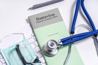 Hantavirus