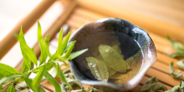 Neonato intossicato da verbena: i segnali d’allarme e perché le tisane non vanno somministrate