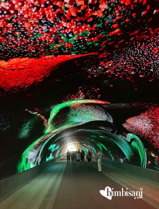 dag - gorizia dag - gorizia