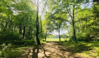 Bosco Macchia Grande