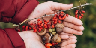 11 lavoretti a tema autunno da fare con i bambini