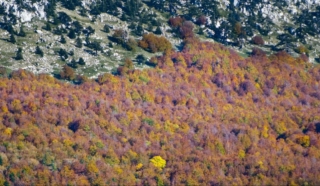 parco Nazionale del Pollino