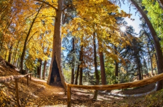 Parco Nazionale della Sila