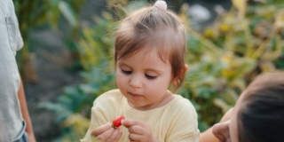 Salmonella e pomodori crudi: cosa rischiano i nostri figli?