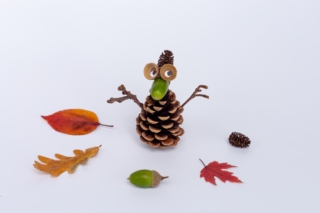 animaletti del bosco con le pigne animaletti del bosco con le pigne