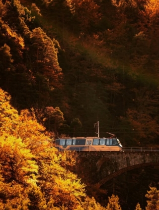 Trenino del foliage Domodossola Locarno