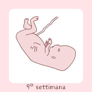 9° Settimana di gravidanza