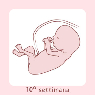 10° Settimana di gravidanza