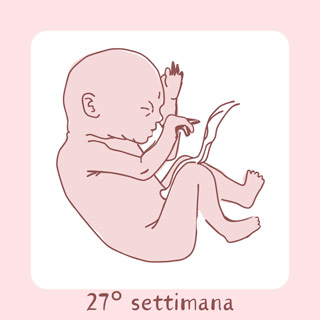 27° Settimana di gravidanza