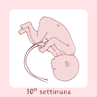 30° Settimana di gravidanza