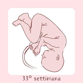 33° Settimana di gravidanza