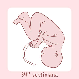 34° Settimana di gravidanza