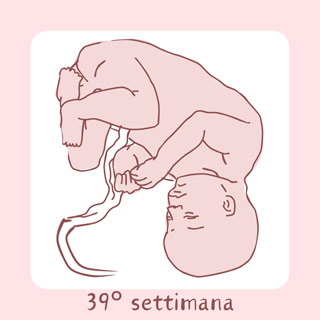 39° Settimana di gravidanza